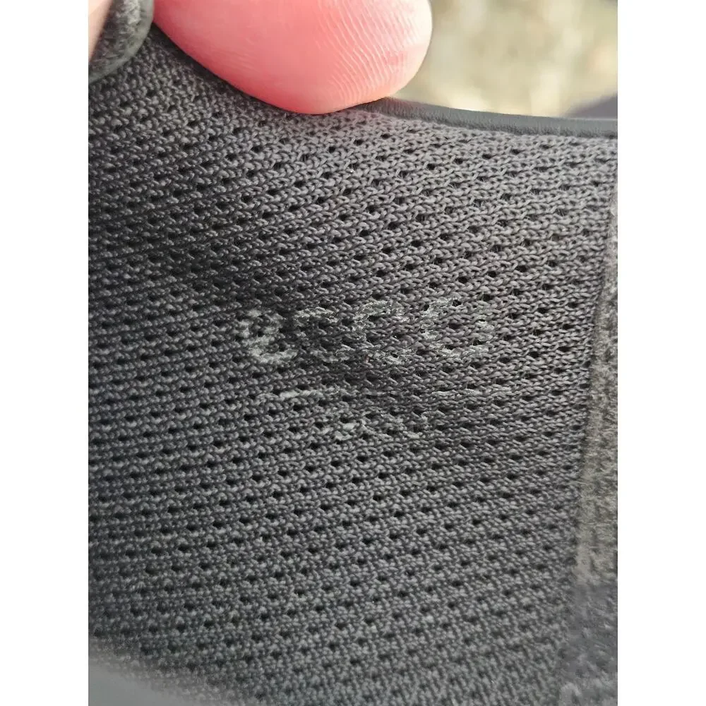 Ecco excellent pre